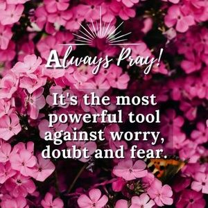 Meet your Posher, Shabnam